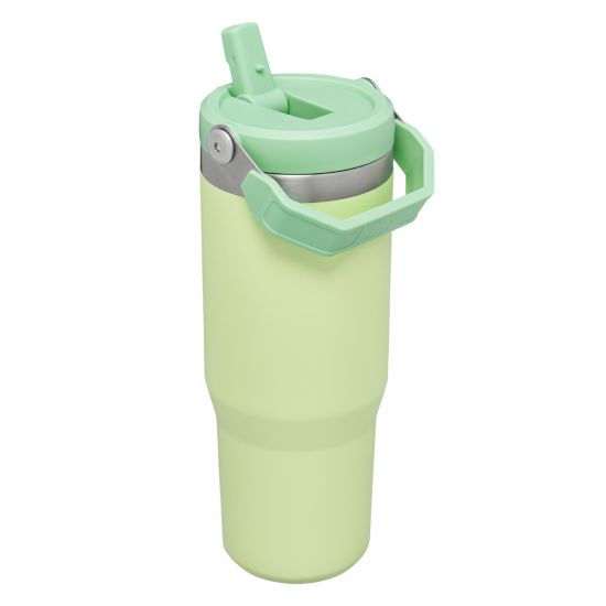 STANLEY IceFlow Flip Straw Tumbler 0,89 L "citron"